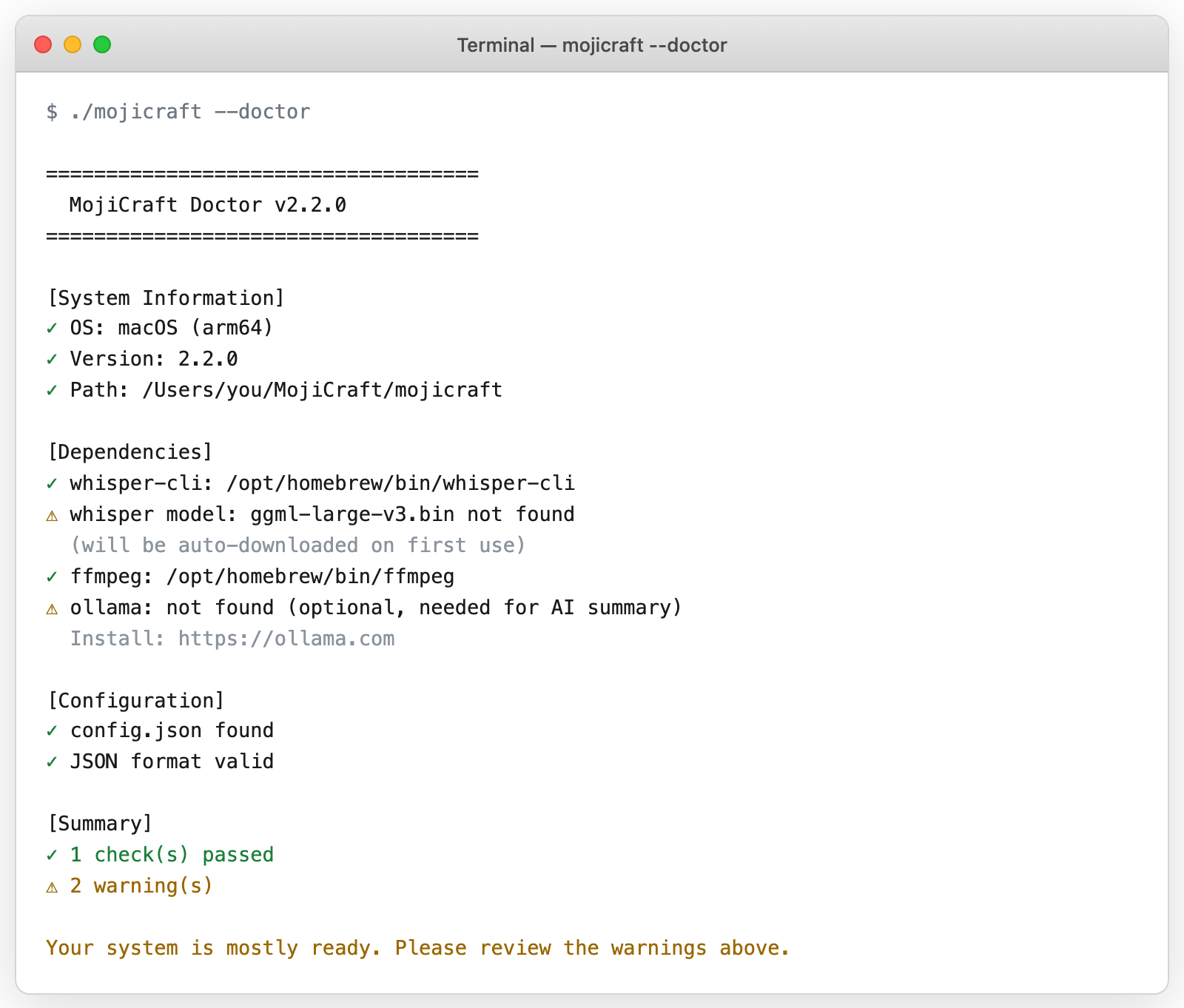 環境診断 - 警告あり